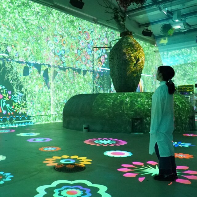 はなびより様確認専用ページ❷ HANA・BIYORIとは | 新感覚フラワーパーク【HANA・BIYORI】